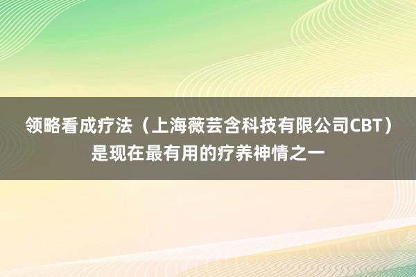领略看成疗法（上海薇芸含科技有限公司CBT）是现在最有用的疗养神情之一
